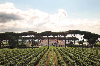 Tenuta Guado al Tasso