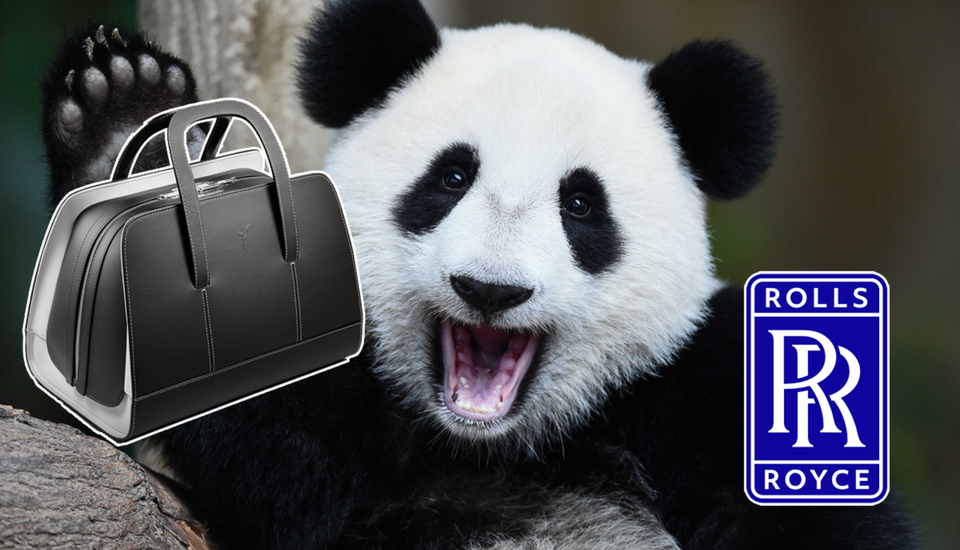 expensive luggage set